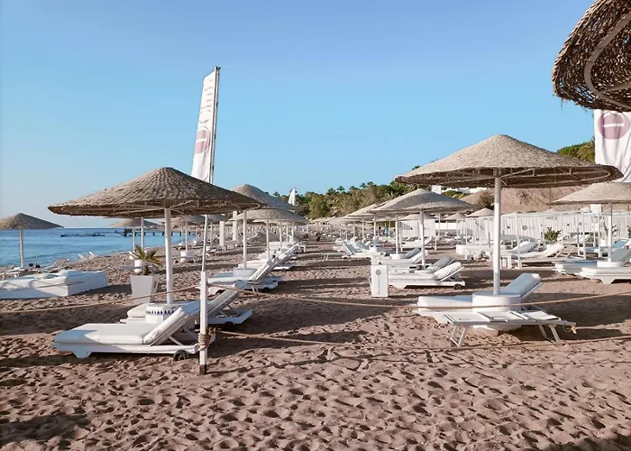 Domina Coral Bay Elisir شرم الشيخ