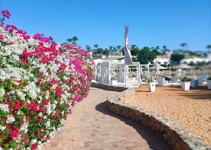 Domina Coral Bay Elisir بيت للعطل
