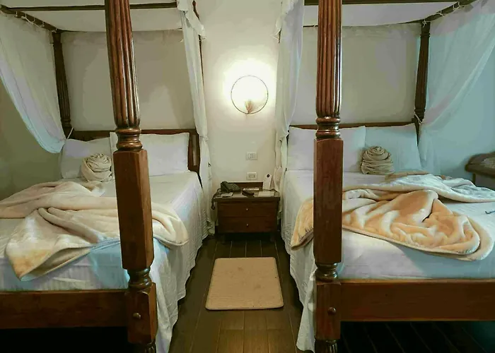 Domina Coral Bay Elisir *