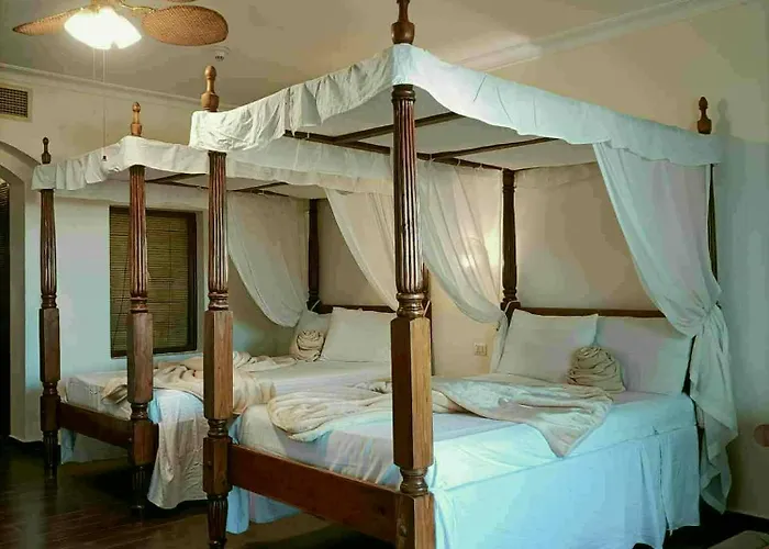 Domina Coral Bay Elisir